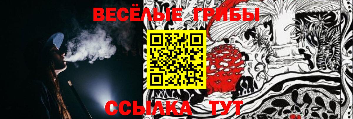 Тольятти  Псилоцибиновые грибы мицелий  Вход с VPN 